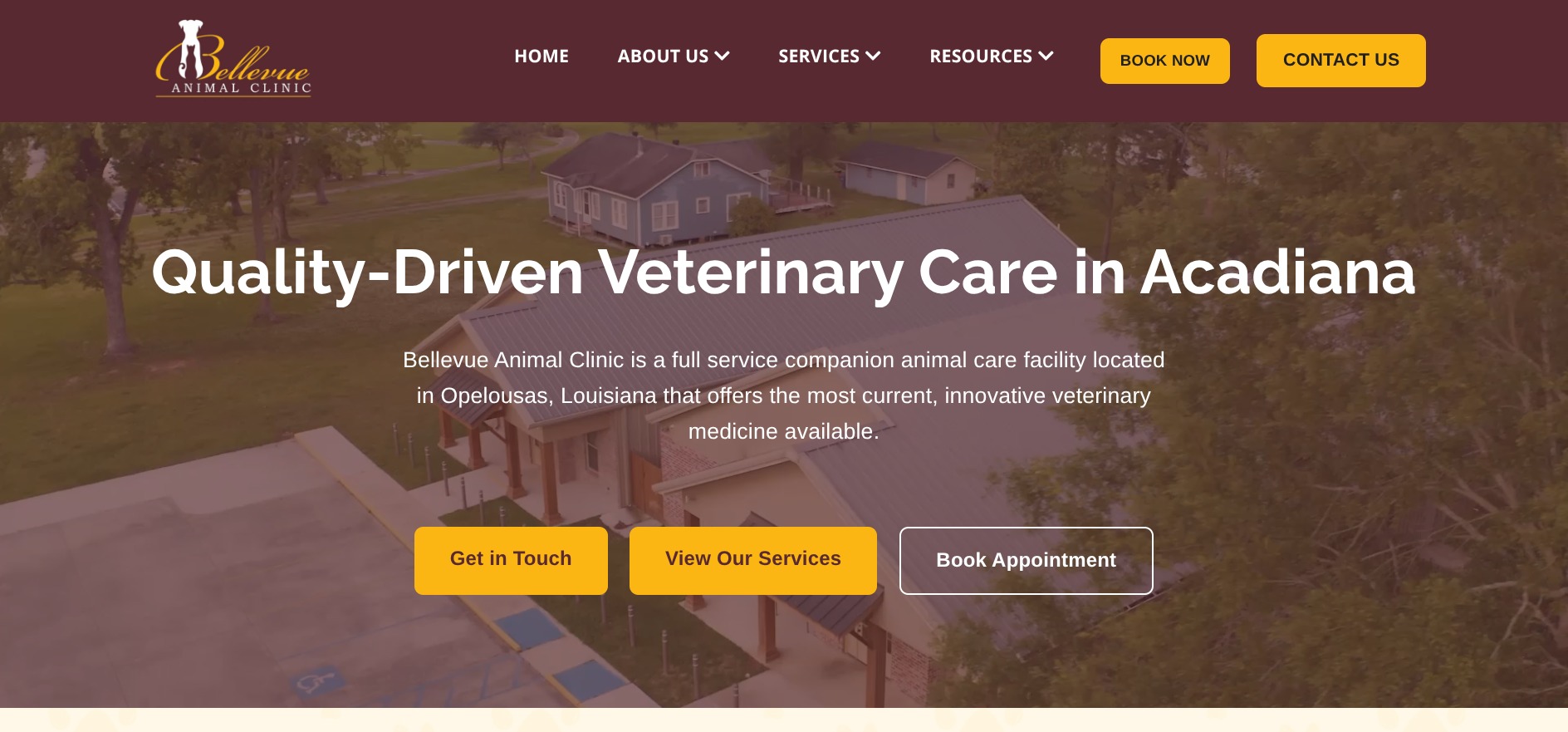 Bellevue Animal Clinic | Veterinary Clinic Website