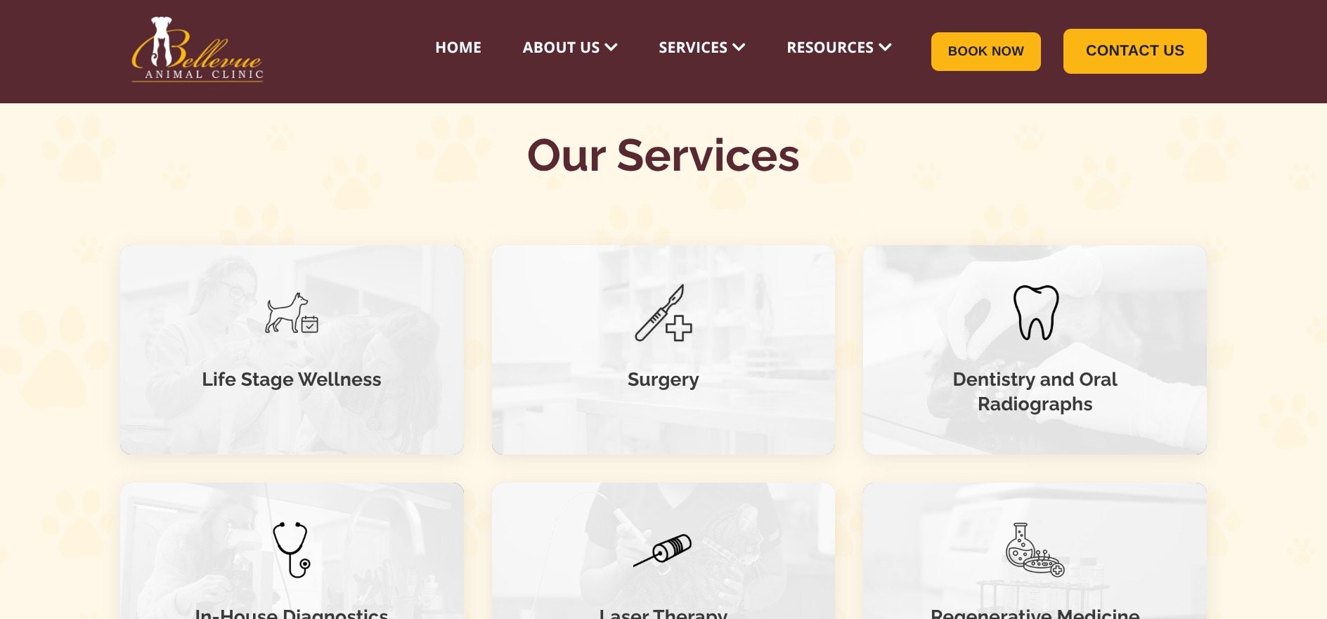Our Services