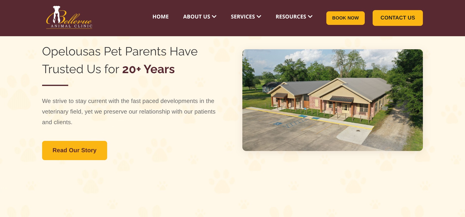 Home Page Section